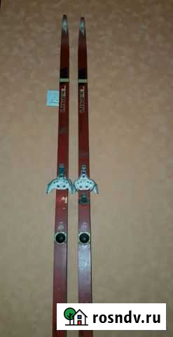 Беговые лыжи Вологда - изображение 1