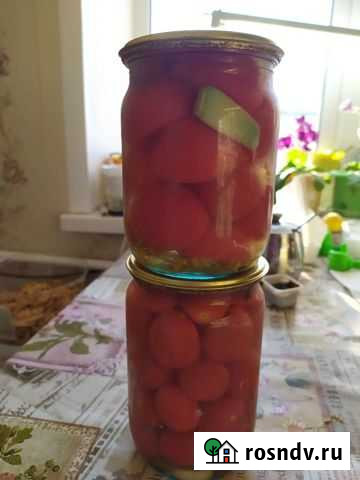 Помидоры маринованные Кострома - изображение 1