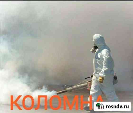 Уничтожение клещей комаров борщевика клопов Коломна
