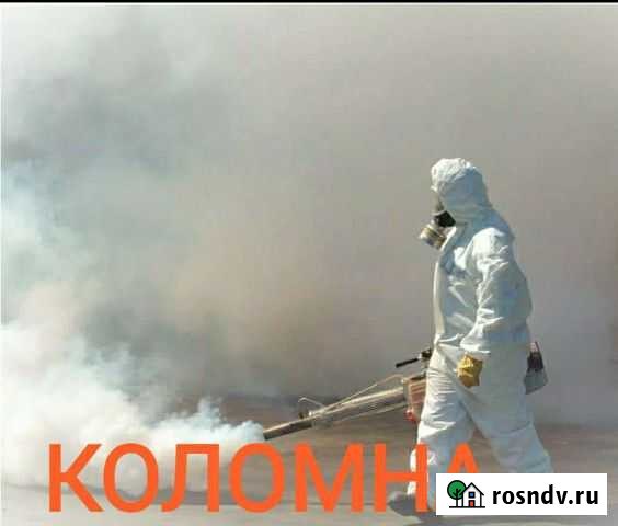 Уничтожение клещей комаров борщевика клопов Коломна - изображение 1