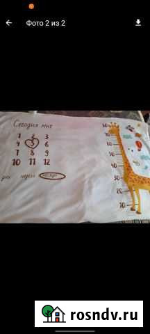 Плед для фотосессии Октябрьский - изображение 1