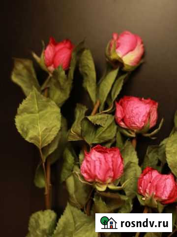 Сухоцветы розы лаванда букеты Набережные Челны - изображение 1