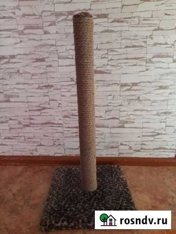 Когтеточка Райчихинск - изображение 1