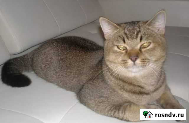 Вязка Брянск - изображение 1