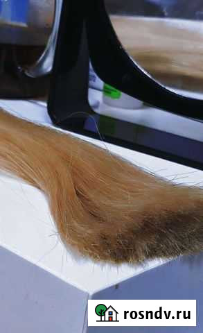 Наращивание волос на дому Сыктывкар - изображение 1