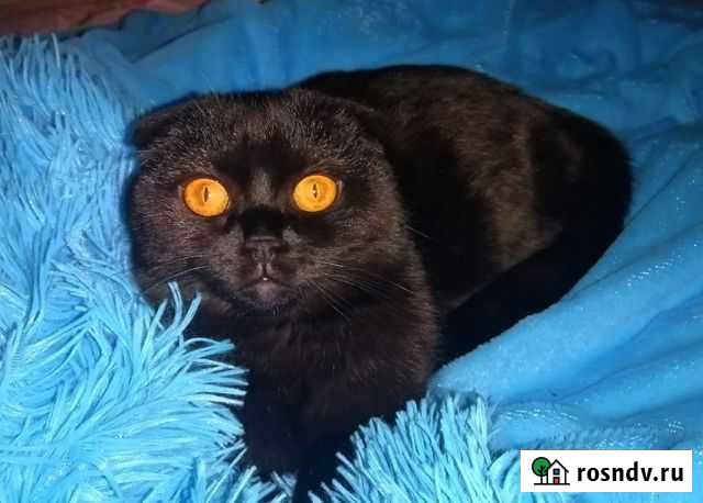 Вязка Мончегорск - изображение 1