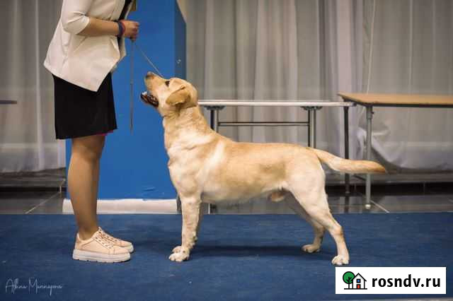 Вязка Альметьевск - изображение 1