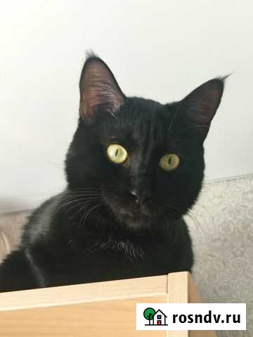 Вязка Челябинск - изображение 1