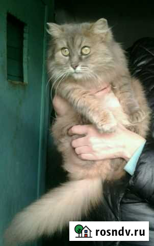 Зося Владимир - изображение 1