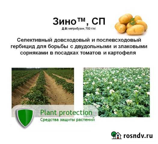 Зино (аналог Зенкор) Доставка по РФ Усть-Лабинск - изображение 1