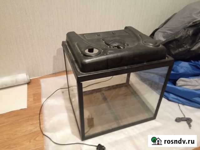 Аквариумистика Тверь - изображение 1