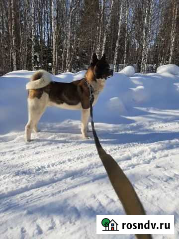 Вязка Кунгур - изображение 1