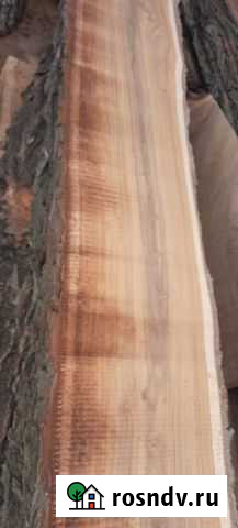 Слэбы карагач Будённовск - изображение 1