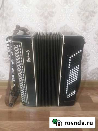 Баян Астрахань - изображение 1
