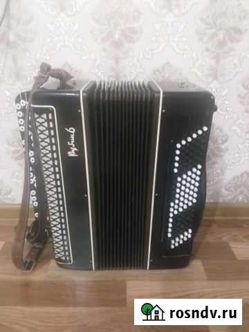 Баян Астрахань - изображение 1