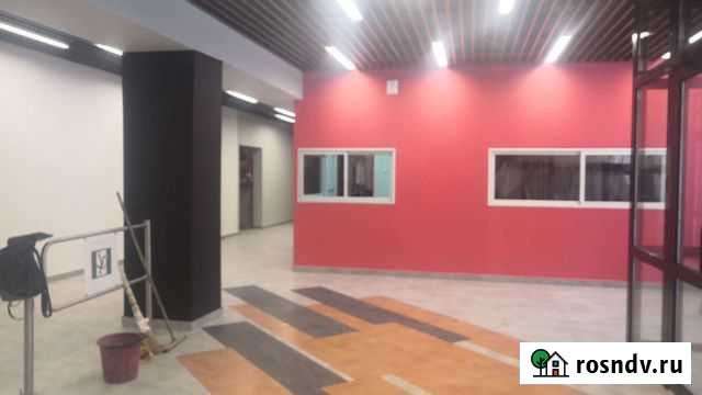 Штукатурка, шпаклёвка, покрасочные работы Комсомольск-на-Амуре - изображение 1