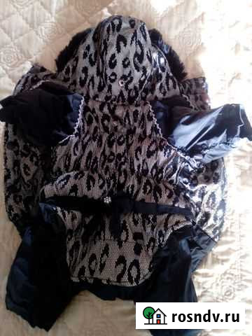 Комбинезоны зима и демисезон для собаки Великий Новгород - изображение 1