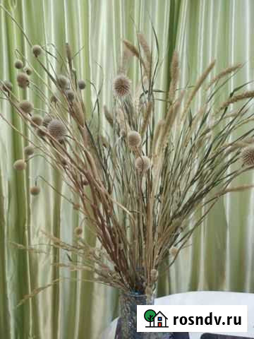 Мордовник+лисий хвост сухоцвет Кострома - изображение 1