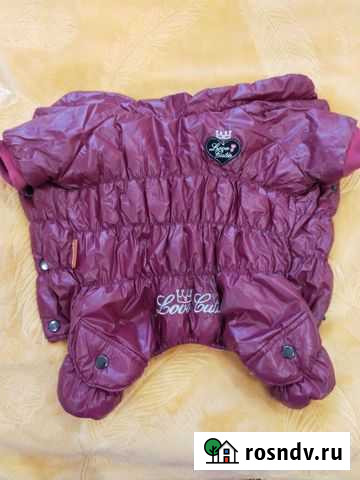 Комбинезон для собаки Люберцы - изображение 1