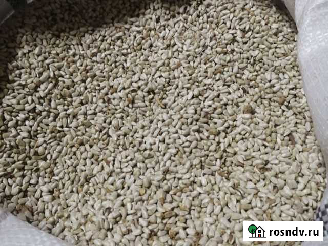 Софлор Ейск - изображение 1