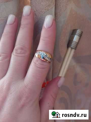 Золотое кольцо Бузулук - изображение 1