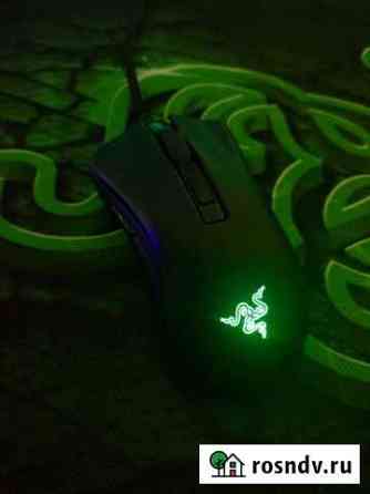 Игровая мышь razer deathadder v2 mini Ставрополь