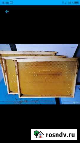 Сушь для пчёл Старый Оскол - изображение 1