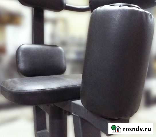 Торс машина 60 кг AV221/80 Новосибирск - изображение 1