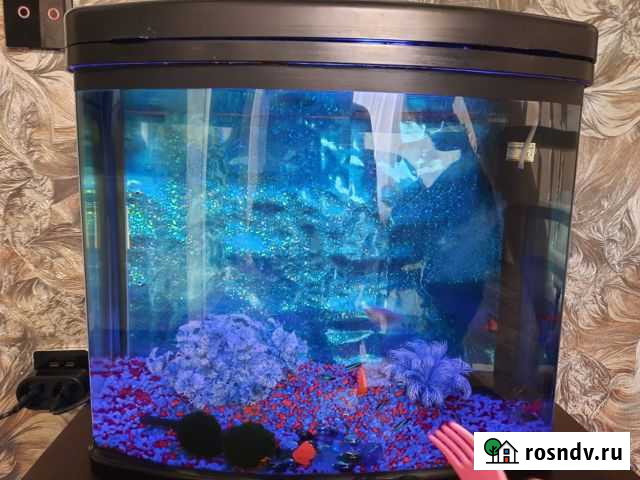 Аквариум 80 литров с рыбками Славянск-на-Кубани - изображение 1