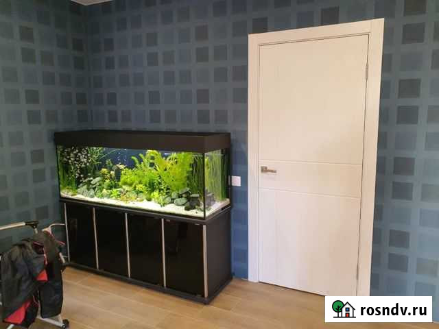 Обслуживание аквариумов Чебоксары - изображение 1