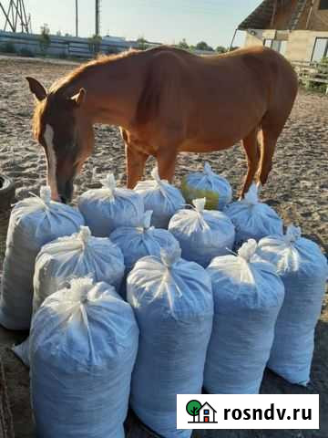 Навоз конский без опилочной подстилки Псков - изображение 1