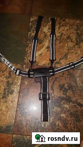 Детские 5-ти точечные ремни безопасности Краснодар - изображение 1