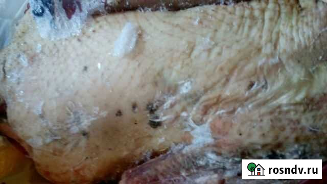 Тушки гусей Балашов - изображение 1