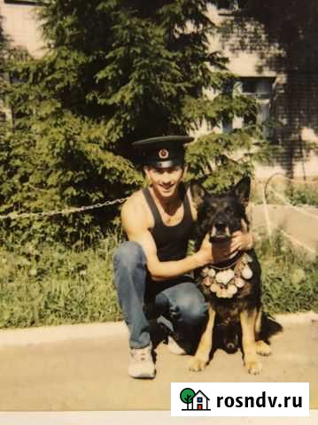 Дрессировка собак-кинолог/инструктор розыскной соб Казань - изображение 1