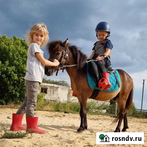 Два (почти три) пони для работы с детьми Липецк - изображение 1