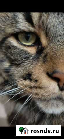 Вязка Самара - изображение 1