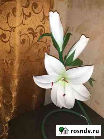 Лилия Камешково