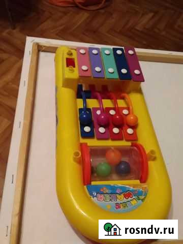 Ксилофон отдам за вкусняшку Новороссийск - изображение 1