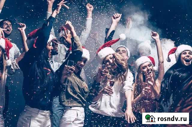 Весёлая компания на нг Йошкар-Ола - изображение 1