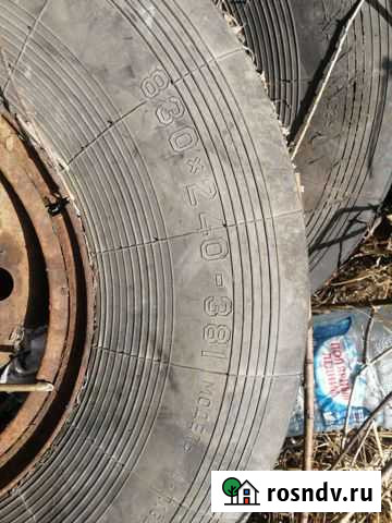 Катки на Витязь Лабытнанги - изображение 1