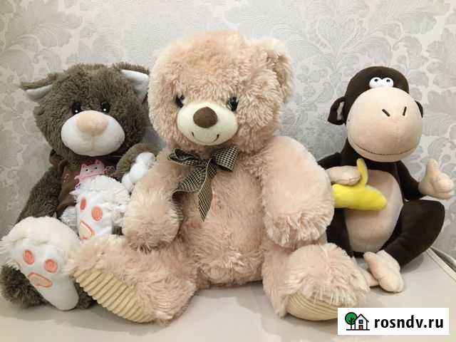 Мягкая игрушка плюшевый медведь кот обезьяна Великий Новгород - изображение 1