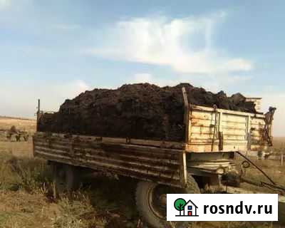 Навоз Клинцы - изображение 1