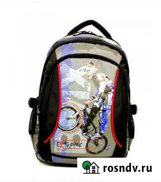 Рюкзак Pulsar с орто- спинкой 1 -5 класс Калининград - изображение 1