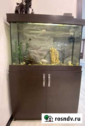 Террариум Нижнекамск - изображение 1