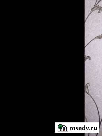 Шотландские котята Подольск - изображение 1