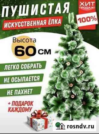 Ель искусивенная Оренбург