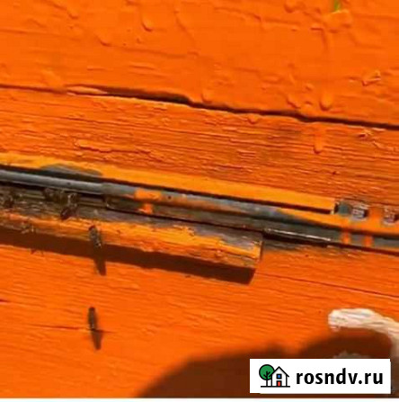 Ульи Черницыно - изображение 1