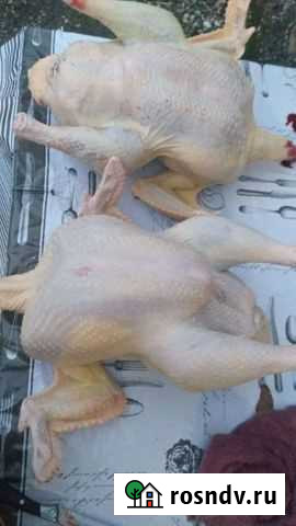 Продукты питания Гудермес - изображение 1