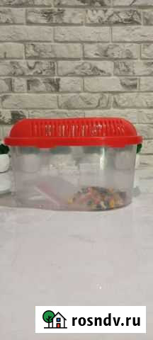 Аквариум для черепахи Майкоп - изображение 1