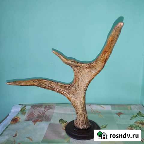Рога оленя Промышленная - изображение 1